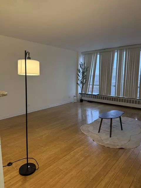 Living - 1450 E 55th Pl #720S, Chicago, IL 60637 photo 2 of 2