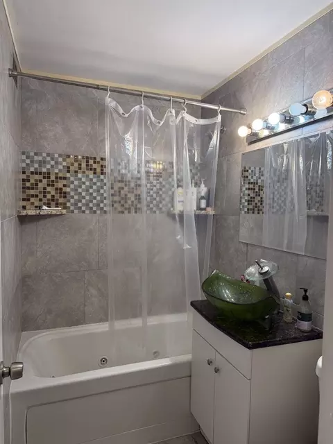 Bath - 1450 E 55th Pl #720S, Chicago, IL 60637 photo 1 of 2