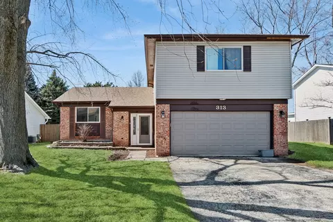 313 Thistle Dr, Bolingbrook, IL 60490