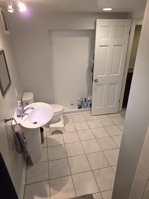 Bath - 1235 Park Ave, River Forest, IL 60305 photo 7 of 7