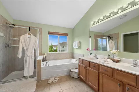 Bath - 2984 Shamrock Cir, Elgin, IL 60124 photo 2 of 3
