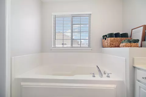 Bath - 1675 Rosehall Ln, Elgin, IL 60123 photo 3 of 5