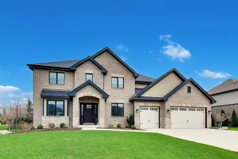 22843 Sara Springs Dr, Frankfort, IL 60423