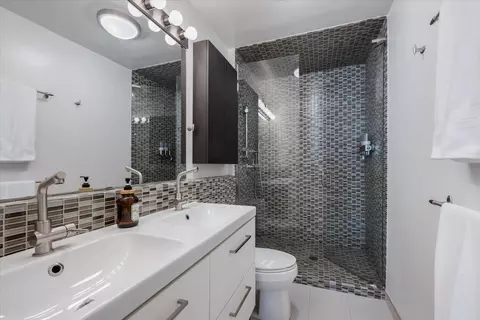 Bath - 200 E Delaware Pl #32AF, Chicago, IL 60611 photo 1 of 3