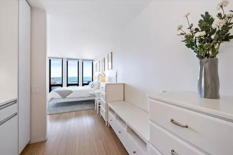 Other - 200 E Delaware Pl #32AF, Chicago, IL 60611 photo 13 of 17