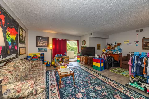 433 Cavalier Ct #101A, West Dundee, IL 60118 photo 18