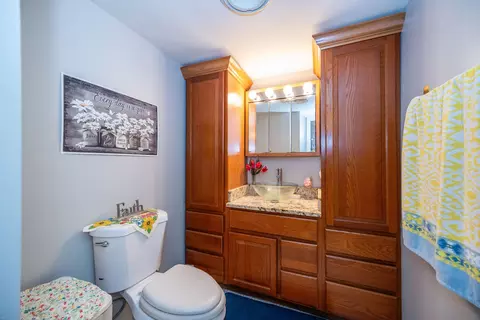 433 Cavalier Ct #101A, West Dundee, IL 60118 photo 28