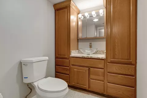 433 Cavalier Ct #101A, West Dundee, IL 60118 photo 12