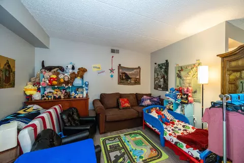 433 Cavalier Ct #101A, West Dundee, IL 60118 photo 22