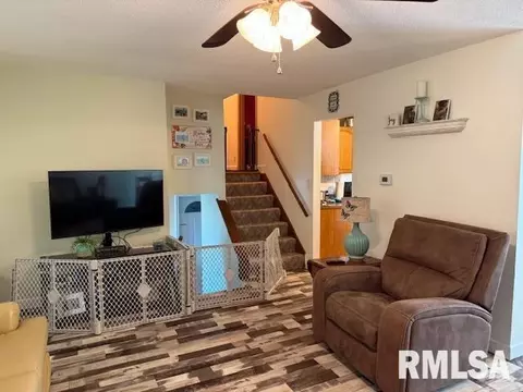 Living - 404 N Maple St, Christopher, IL 62822 photo 1 of 2