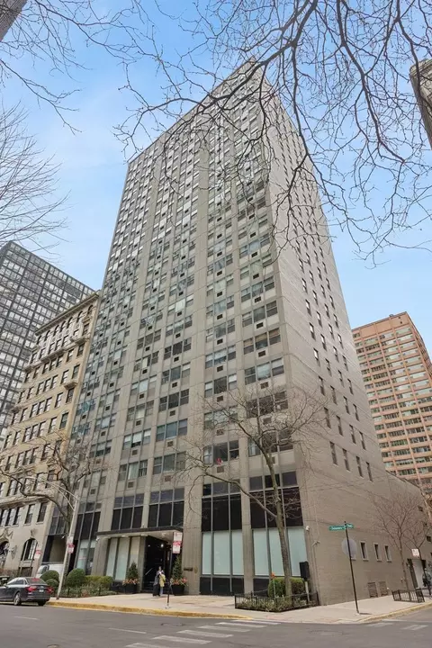253 E Delaware Pl #21G, Chicago, IL 60611