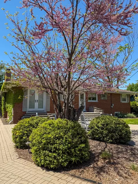 Exterior - 8225 Lorel Ave, Burbank, IL 60459 photo 6 of 7