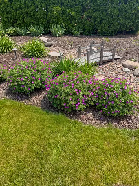 Exterior - 8225 Lorel Ave, Burbank, IL 60459 photo 5 of 7
