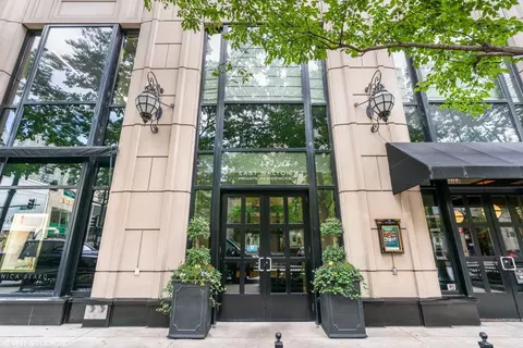11 E Walton St #4402, Chicago, IL 60611