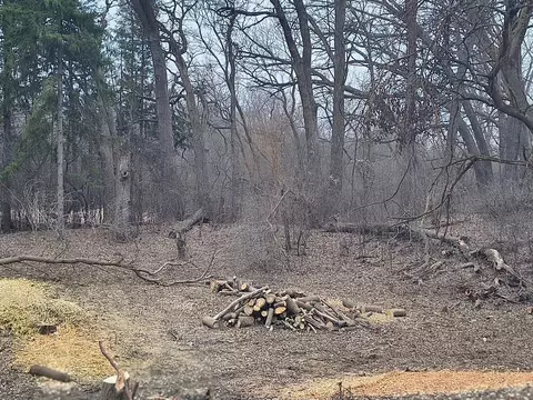 lot2 Asbury Ave, Fox River Grove, IL 60021