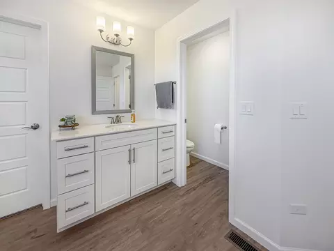 Bath - 12431 Eileen St, Lemont, IL 60439 photo 4 of 5
