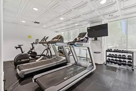 Other - 253 E Delaware Pl #22B, Chicago, IL 60611 photo 6 of 6