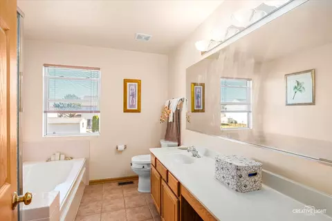 Bath - 24336 W Apple Tree Ln, Plainfield, IL 60585 photo 2 of 4