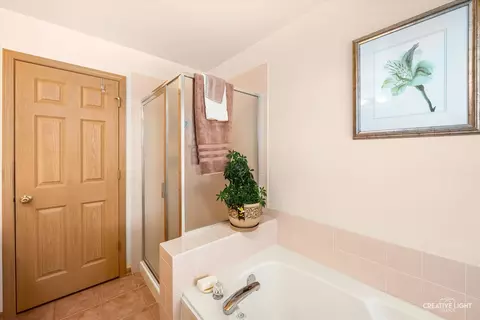 Bath - 24336 W Apple Tree Ln, Plainfield, IL 60585 photo 3 of 4
