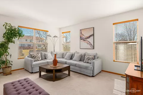 Other - 24336 W Apple Tree Ln, Plainfield, IL 60585 photo 2 of 5