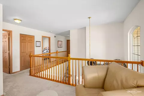 Entry Way - 24336 W Apple Tree Ln, Plainfield, IL 60585 photo 3 of 4