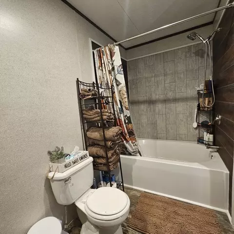 Bath - 9196 N Riddle Ln, Ashley, IL 62808 photo 1 of 3