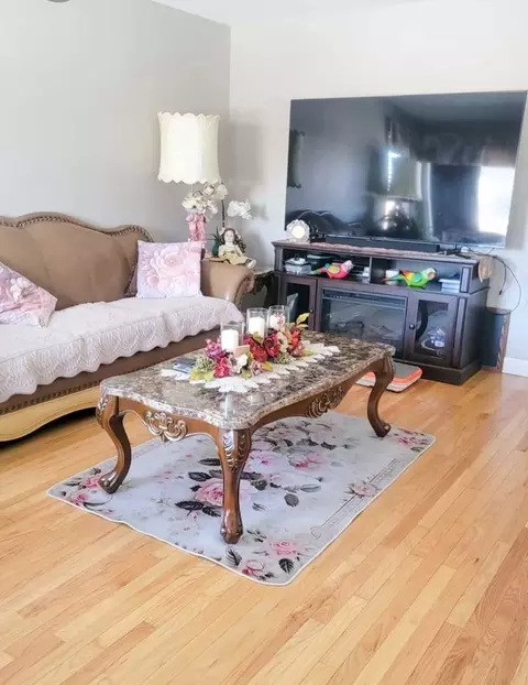 Living - 449 N Jackson Blvd, Hillside, IL 60162 photo 1 of 1