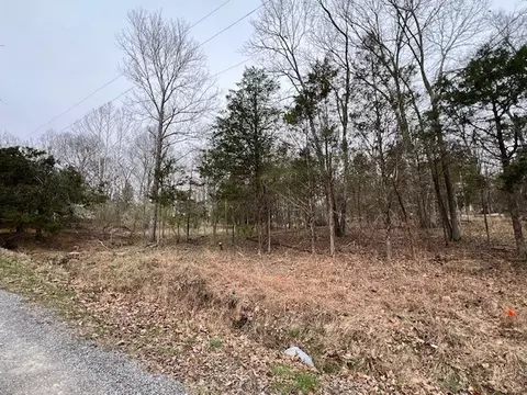 lot1234 Indian Camp Dr, Goreville, IL 62939