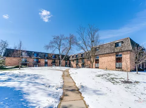 8 Oak Creek Dr #2802, Buffalo Grove, IL 60089