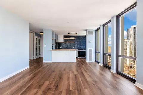 Living - 1 E Scott St #2004, Chicago, IL 60610 photo 4 of 4