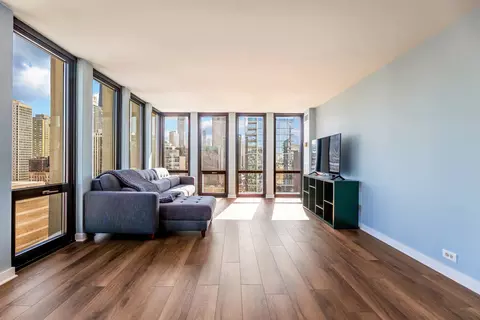 Living - 1 E Scott St #2004, Chicago, IL 60610 photo 2 of 4