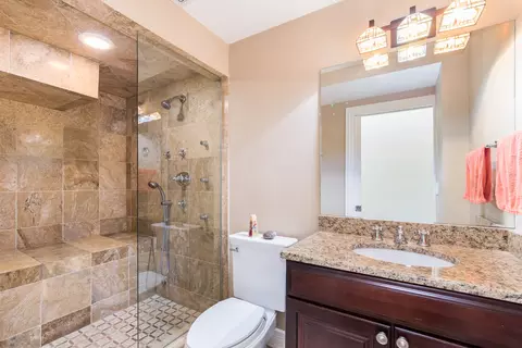 Bath - 711 Jackson Ave, River Forest, IL 60305 photo 5 of 5
