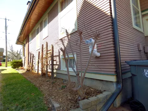 Exterior - 121 Monroe Ave, Elgin, IL 60123 photo 9 of 10