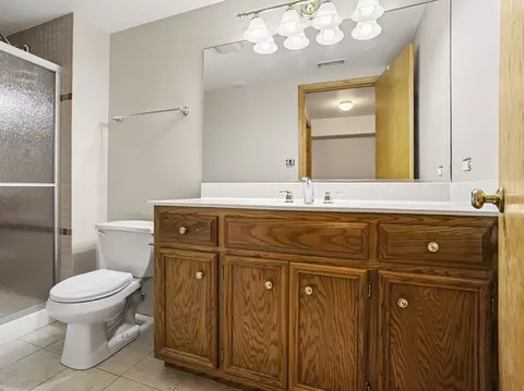 Bath - 1153 Linden Cir, Beecher, IL 60401 photo 2 of 3