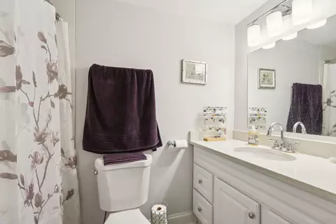 Bath - 586 Fairway View Dr #1A, Wheeling, IL 60090 photo 2 of 3