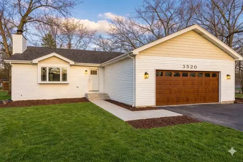 3520 William St, Steger, IL 60475