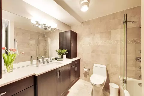 Bath - 360 E Randolph St #702, Chicago, IL 60601 photo 1 of 3