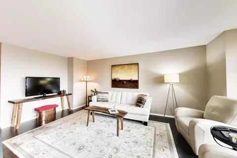 Living - 360 E Randolph St #702, Chicago, IL 60601 photo 3 of 4