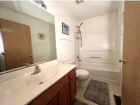 Bath - 752 S Parkside Dr, Round Lake, IL 60073 photo 4 of 4