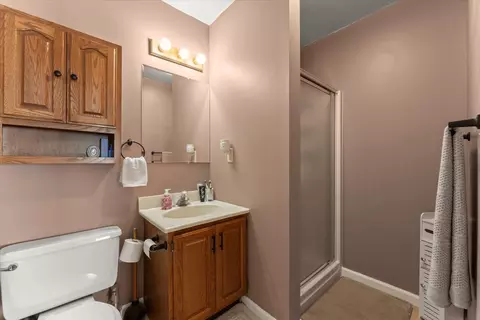 Bath - 331 Eiler Dr, Gifford, IL 61847 photo 2 of 2