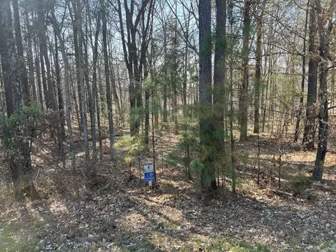 lot139 Cherry Pt, Goreville, IL 62939