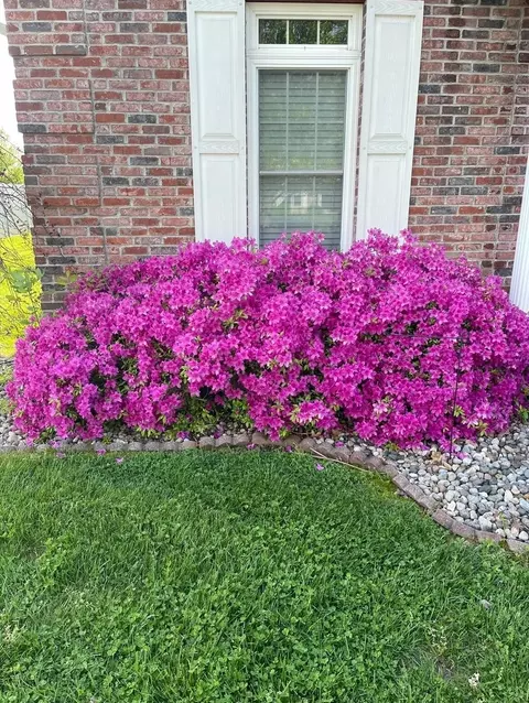 Other - 106 Chase Ln, Marion, IL 62959 photo 10 of 10