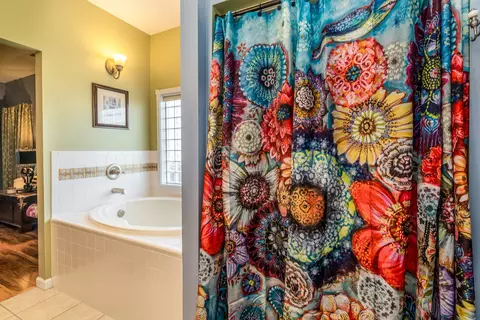 Bath - 106 Chase Ln, Marion, IL 62959 photo 5 of 6