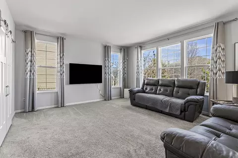 Living - 804 Feeney Dr, Minooka, IL 60447 photo 5 of 7