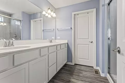 Bath - 804 Feeney Dr, Minooka, IL 60447 photo 2 of 3