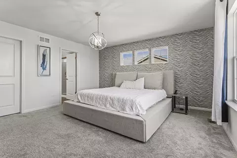 Bedroom - 804 Feeney Dr, Minooka, IL 60447 photo 2 of 6