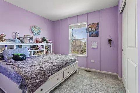 Bedroom - 804 Feeney Dr, Minooka, IL 60447 photo 3 of 6