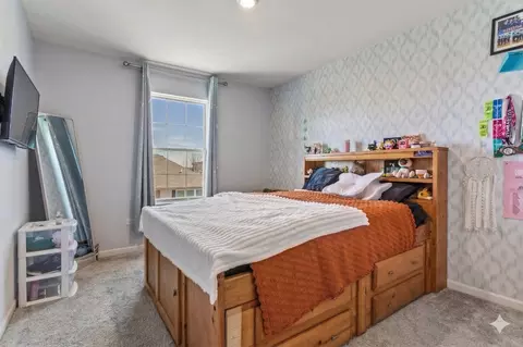 Bedroom - 804 Feeney Dr, Minooka, IL 60447 photo 4 of 6