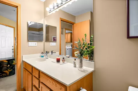 Bath - 13809 S Bristlecone Dr #A, Plainfield, IL 60544 photo 2 of 2