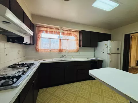 847 S 3rd Ave, Des Plaines, IL 60016 photo 7